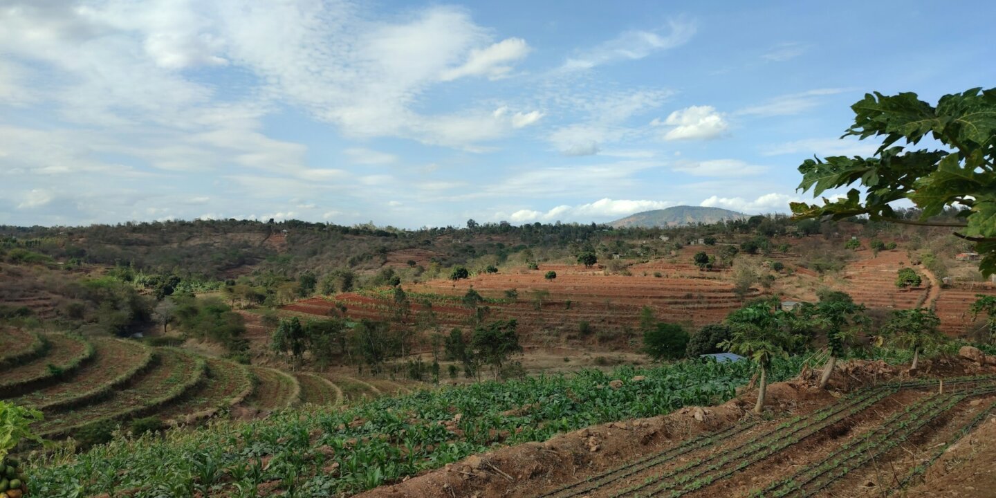 Martin yegon Q8 PAV Nd36c Q unsplash