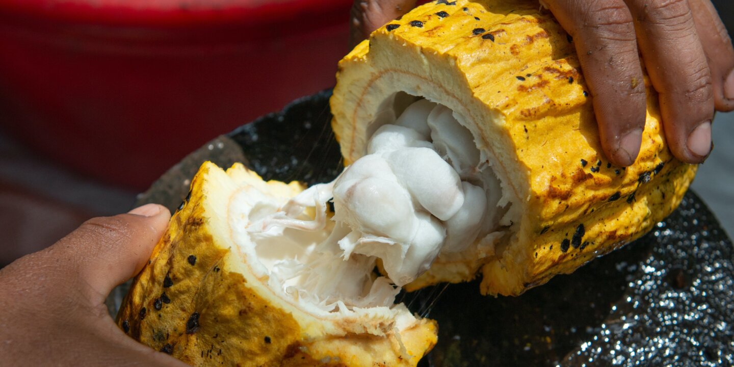 Rodrigo flores E Xceby SSE Mo unsplash