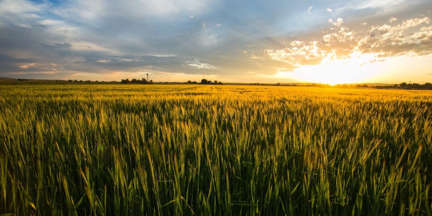 Sustainable food agri innovation