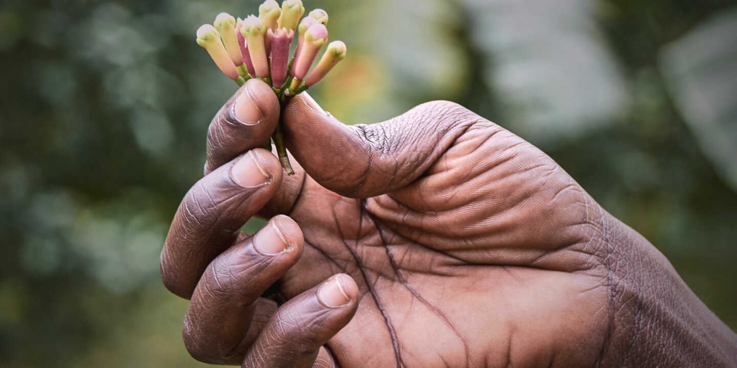 T eszter u Gtmpob Kw3 Y unsplash