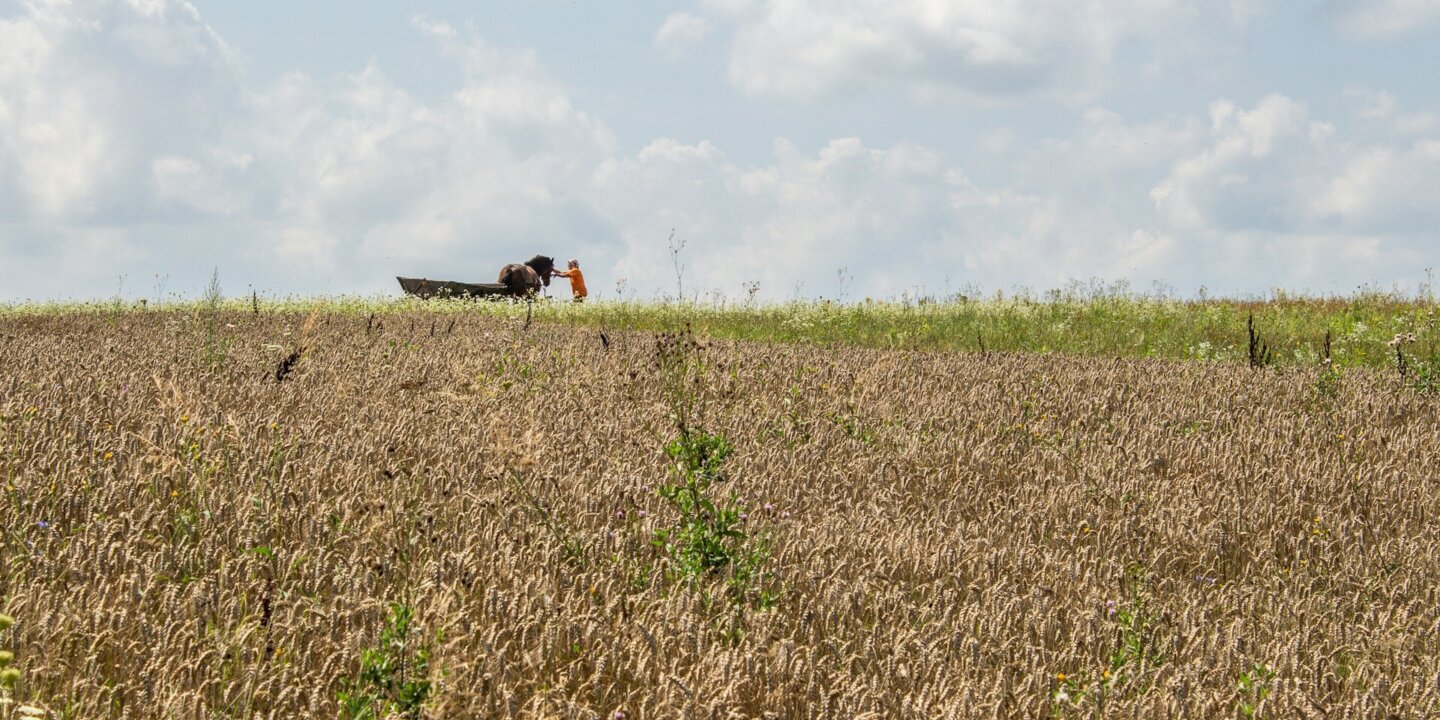 Viktor smoliak 46i b 93jq U unsplash 3