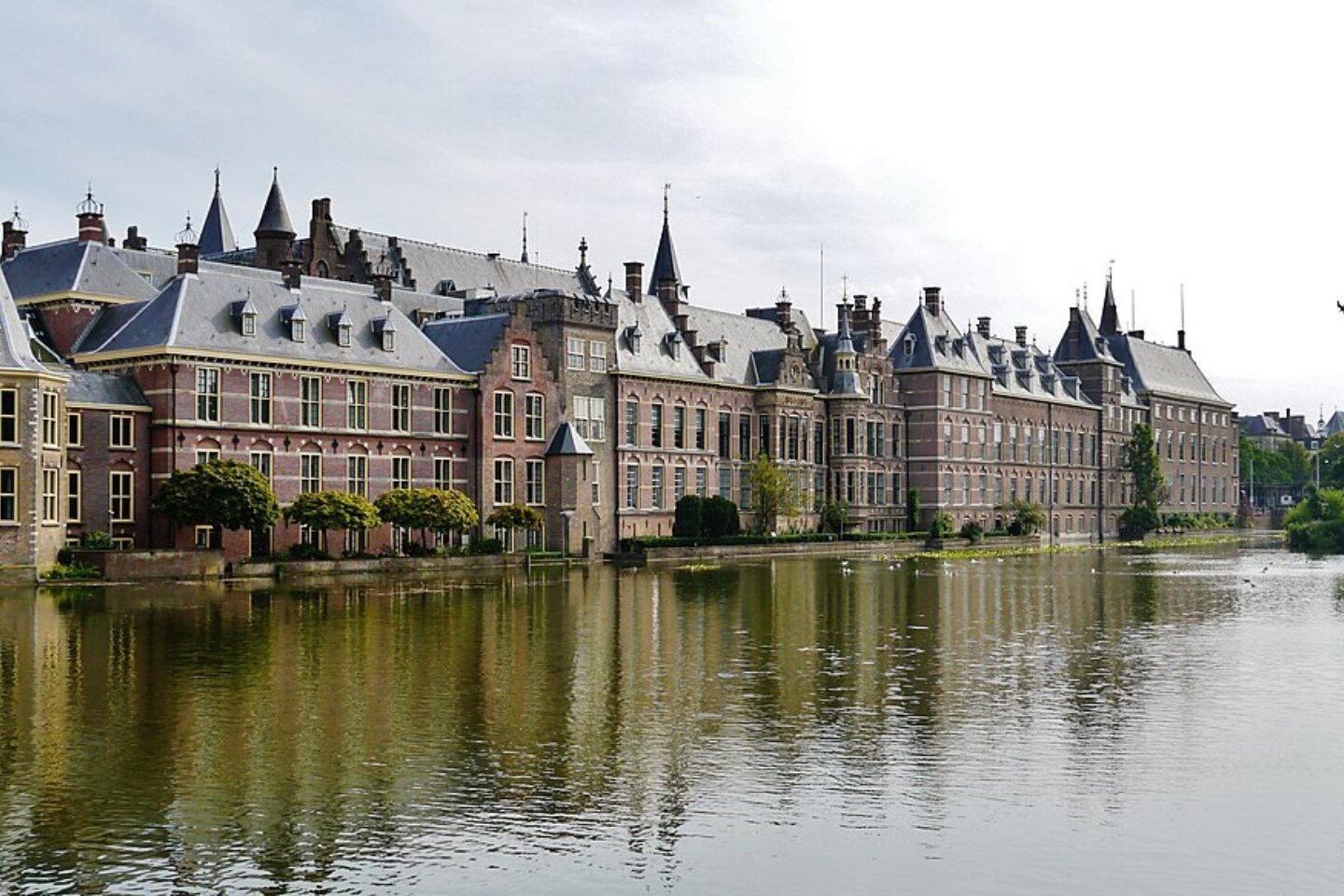 Engagement in Dutch food policy