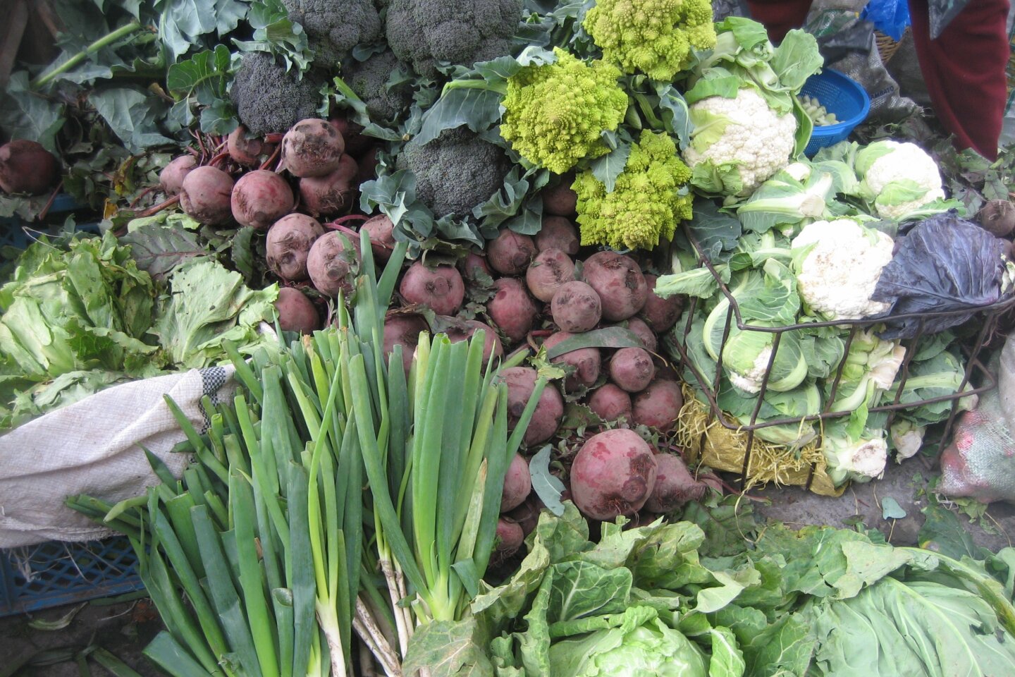 Sustainable Healthy Diets