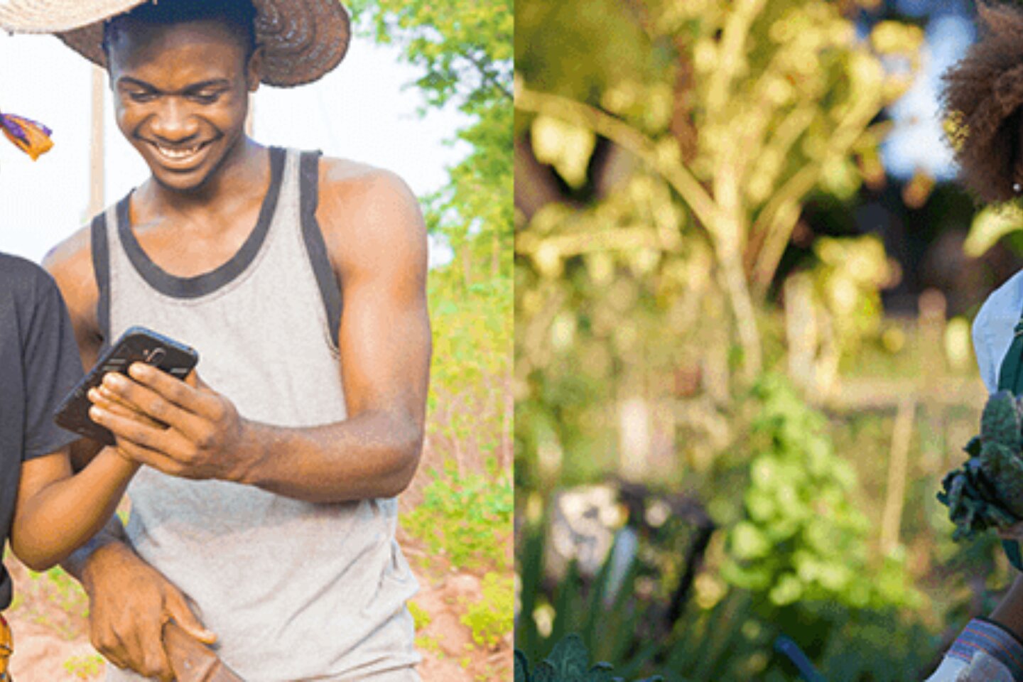 Youth and Sustainable Agriculture