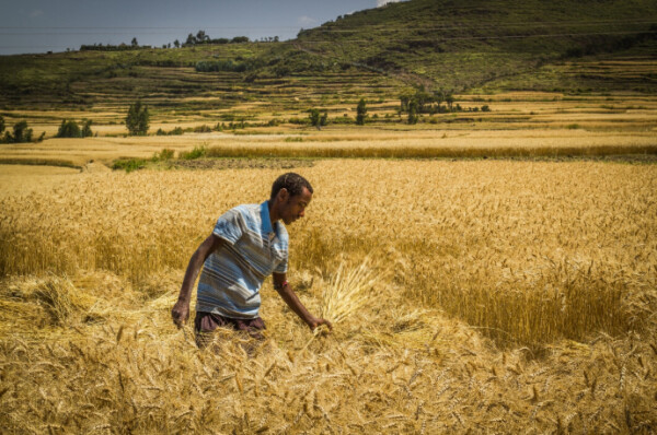 Screenshot 2024 02 14 164506