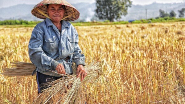 Untitled design 3 width 1200