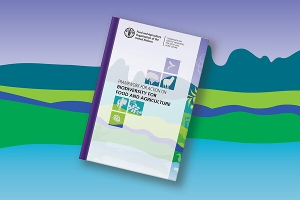 Framework 01 tmb th600x400