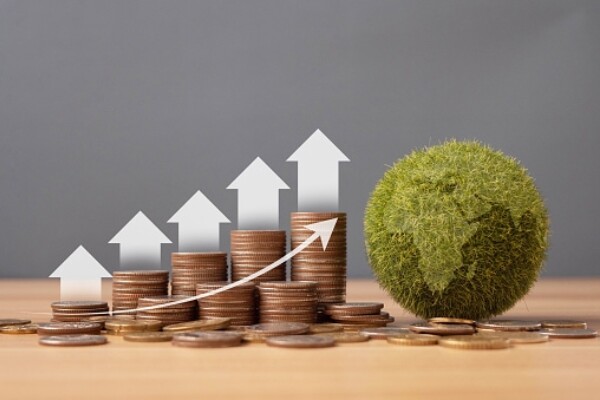 Istockphoto 1441147777 170667a