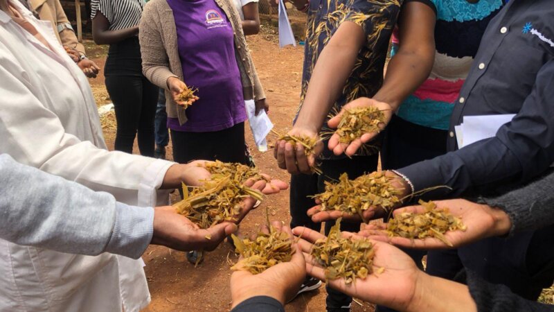 Rumen8 follow-up workshop