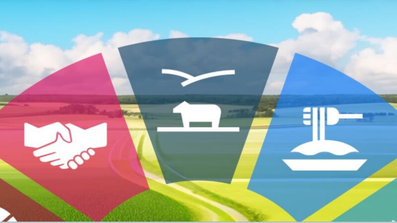 Achieving SDG2 without breaching the 1.5C threshold: A Global Roadmap by FAO launched at COP28