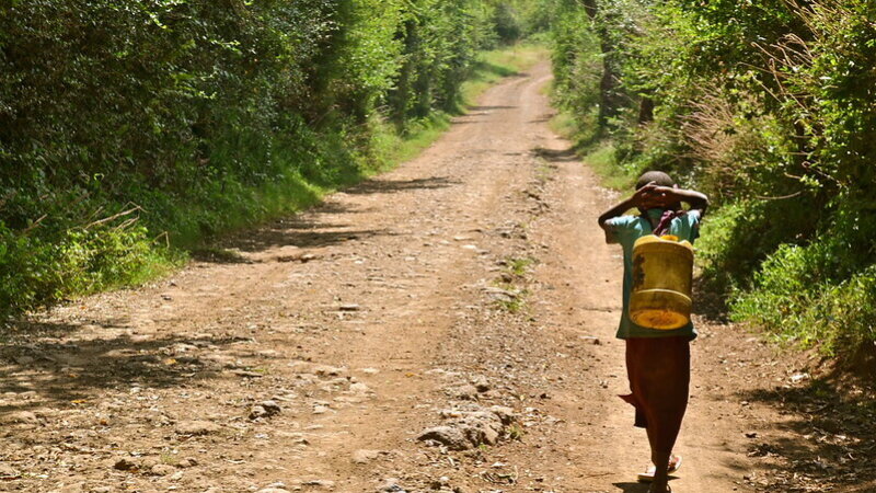 The HDP Nexus Coalition: Closing a Chapter, Carrying the Agenda Forward