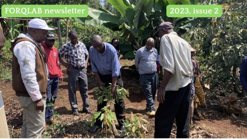 FORQLAB Newsletter, 2023 Issue 2