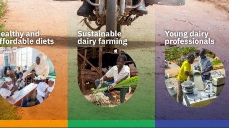 Dairy sector solutions - NEADAP magazine