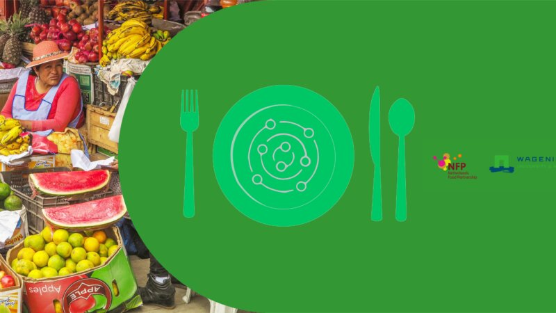 E-course on Food Systems 2026