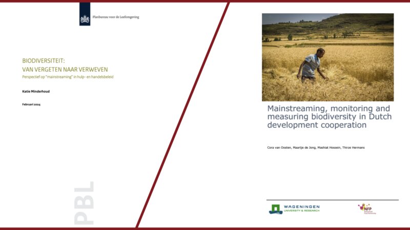 Session report: Mainstreaming Biodiversity in Development Cooperation