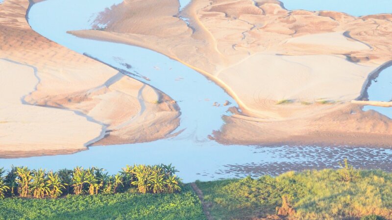 Support Partner: International Association of Students in Agriculture and Related Sciences