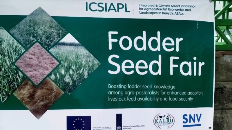 Getting the Incentives right-market development: Feed and Forage Seeds