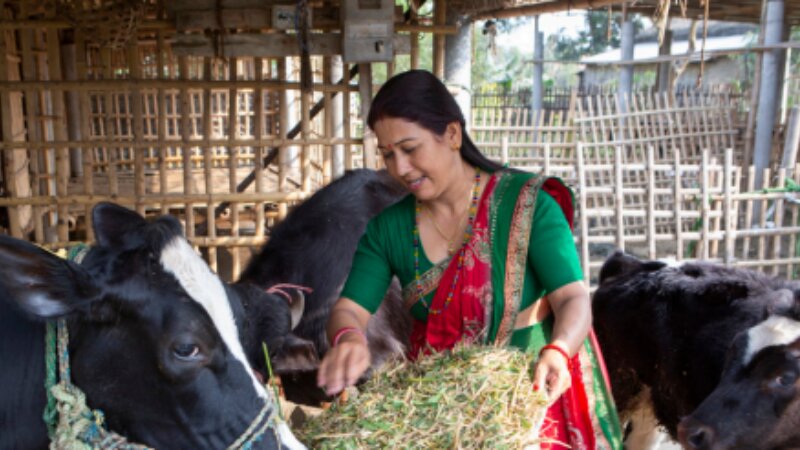 Smart Dialogue for Sustainable Livestock - session
