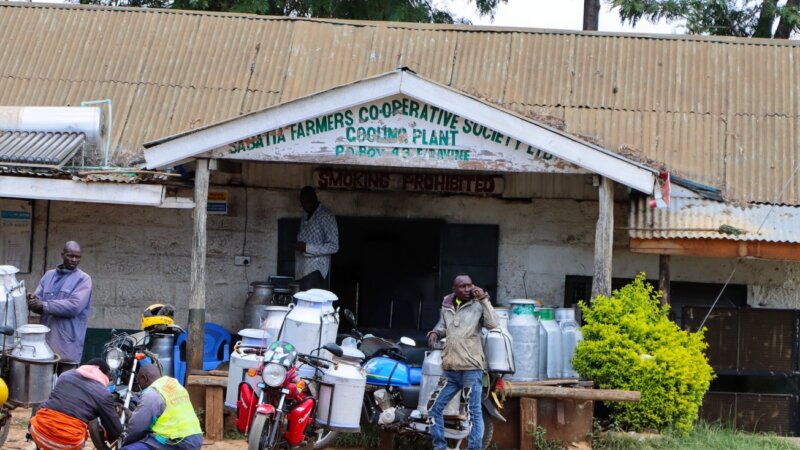 The Role of Youth in Ensuring Milk Quality: A Case Study of Mumberes and Sabatia Cooperatives in Baringo County