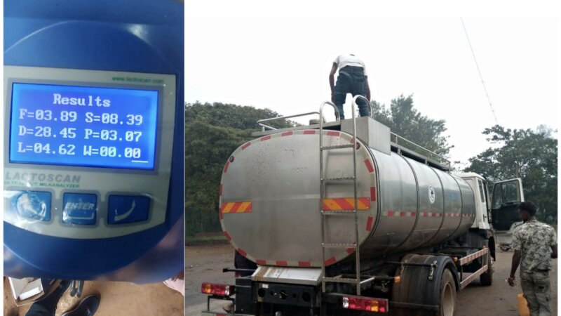 Milk quality and safety improvement in Ethiopia