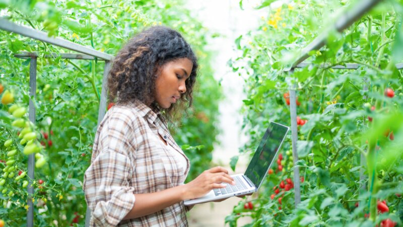 DAC Data Sharing and Consent Learning Publication