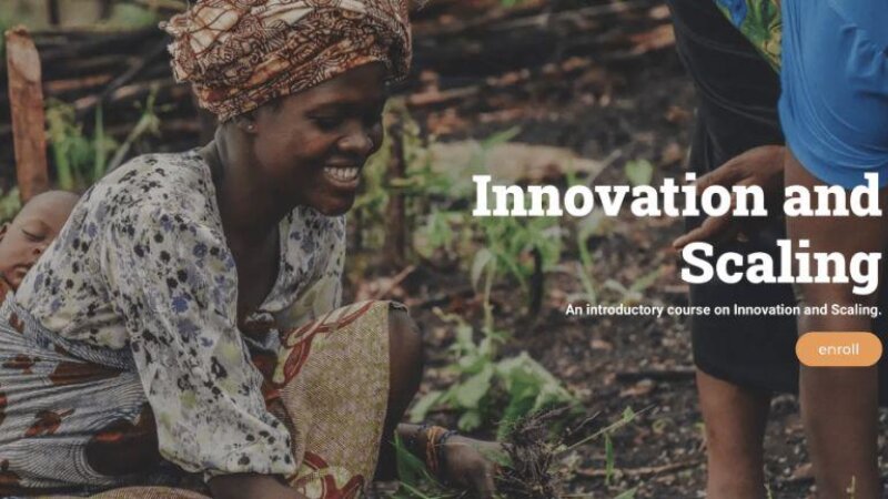 Online course on innovation and scaling now available in French and Spanish