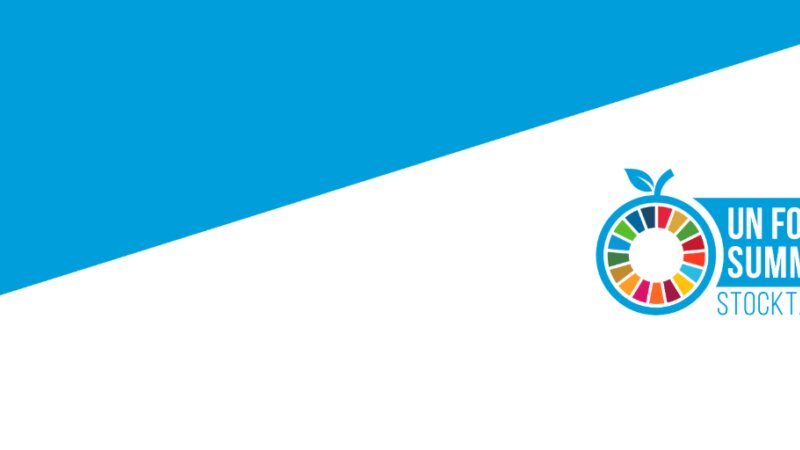 Food Systems : UN Stocktaking Moment