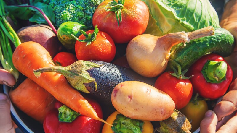 Bridging the Nutrition Funding Gap: A Call for Sustainable Commitments at N4G