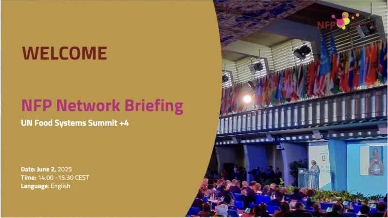NFP network briefing: Expectations of UNFSS+4 Stocktake 2025