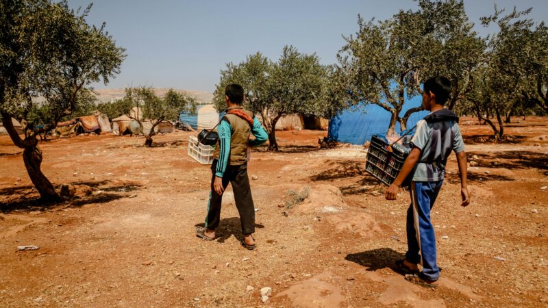 CoP Food Security & Stability Library