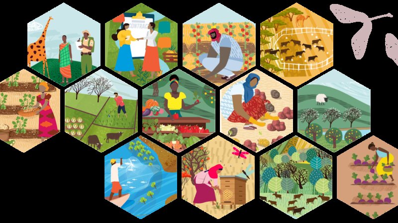 Food & Biodiversity in Action: learning from 10 journeys to sustainable futures