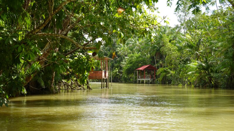 Bridging biodiversity and food systems: 2025, a year to remember