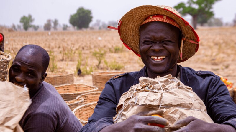 Strong Partnerships for Sustainable Food Systems: NFP’s 2026 agenda