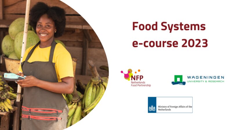 E-course guest talks:  Chris Béné (CIAT) and Dr Rebecca Sarky (ClimAgri-Food Consult Ghana). Governance of food system transformation