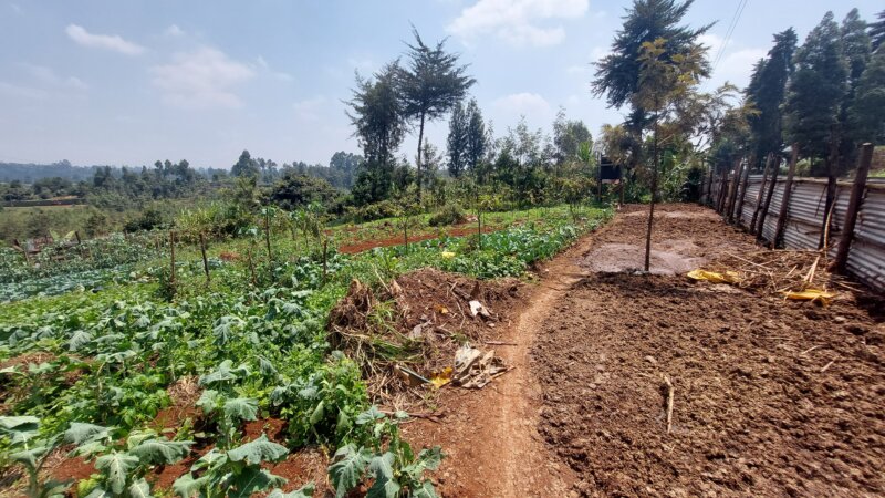 NEADAP’s strategy to improve manure management in East African dairy farming systems