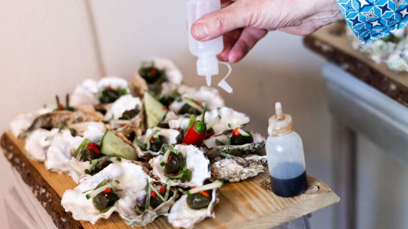 Tasting the Future: Exploring the Role of Salt-Tolerant Crops in Sustainable Food Systems at World Food Day