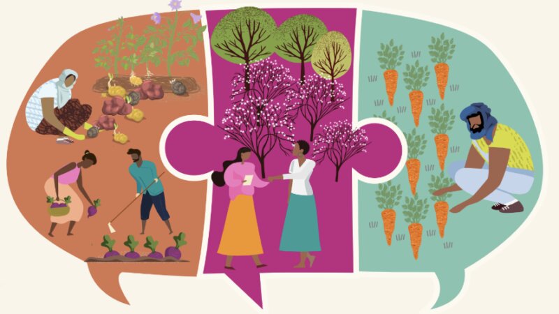 Stories of Progress complimenting the Shared Messages