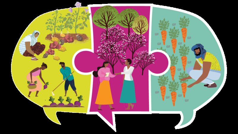 Contribute a Story of Progress to the Shared Messages