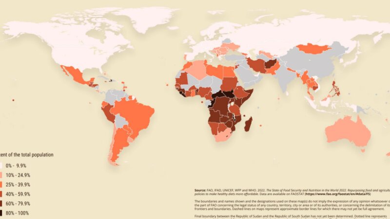 Global food security policy Netherlands: a step-by-step plan