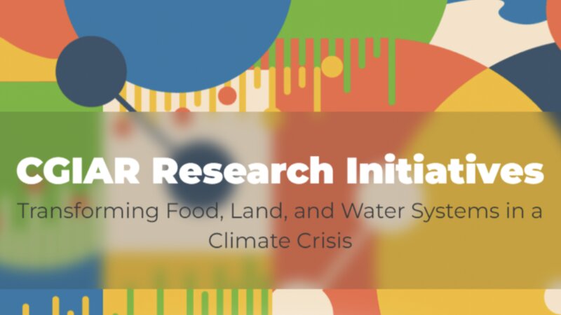 New Initiative Portfolio, New Opportunities for Engagement