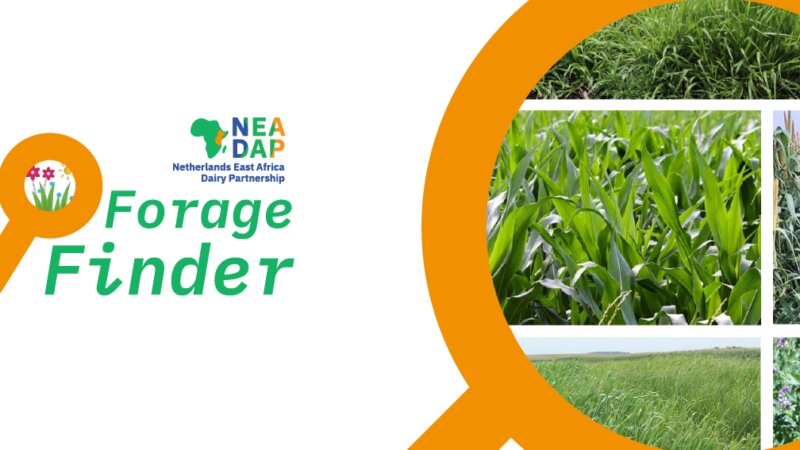 Forage Finder: a list of recommended forage varieties for Kenya