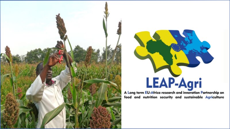 Harvesting the Benefits of African-European Research Partnerships