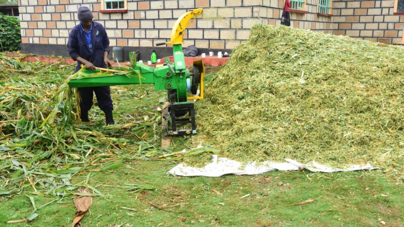 NEADAP Newsletter - Issue 4 | May 2023