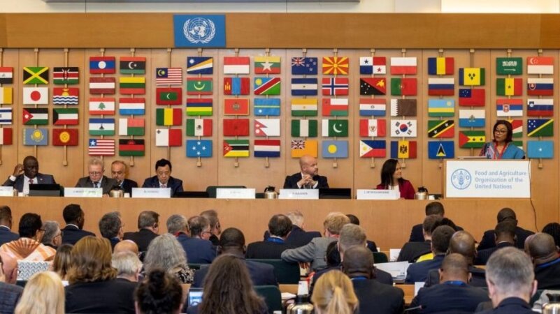 Strengthening Engagement with the Rome-Based Agencies:  initial dialogue meeting 8 June