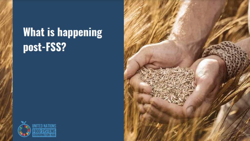 Dutch stakeholders interested to walk the talk in food systems transformation