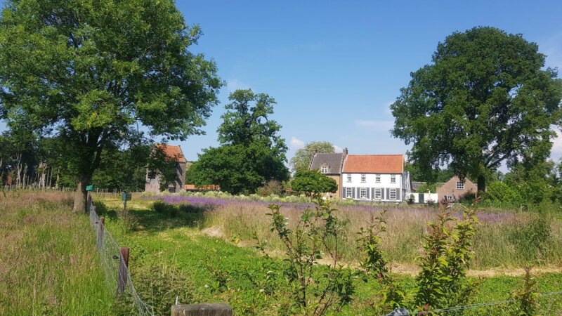 Global Embassy Staff Visit Regenerative Farm