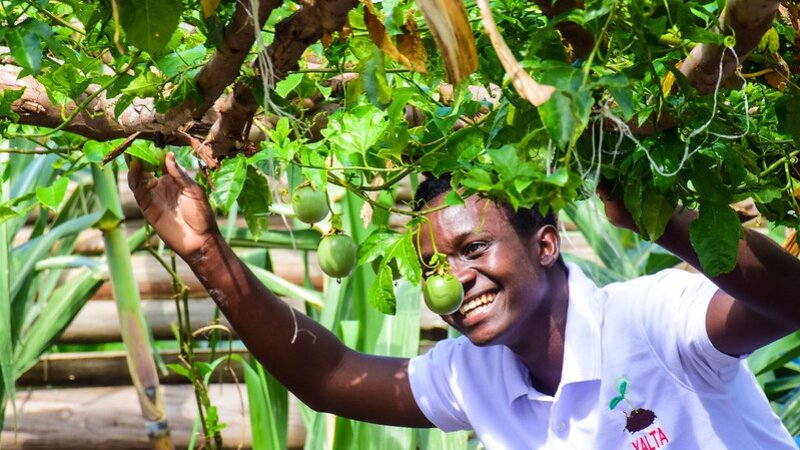 Looking back, Three Years of YALTA