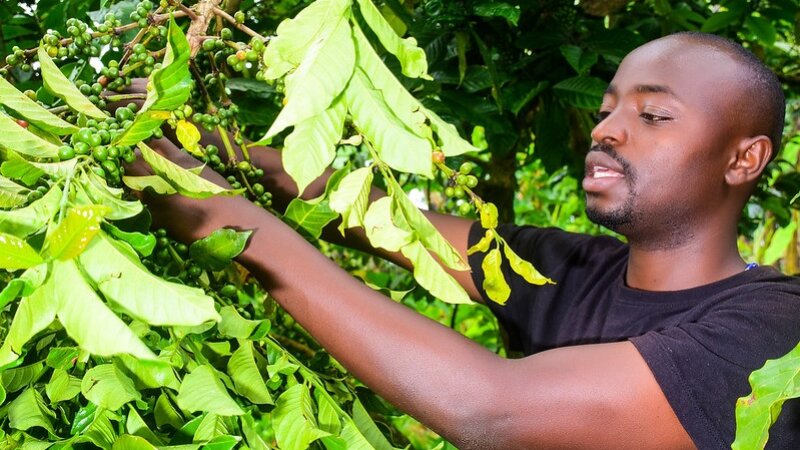 Supporting youth agripreneurship is no one size fits all solution