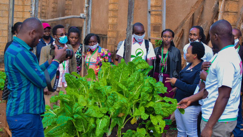Co-creating a biodiversity incubator for youth food system innovators in Kenya