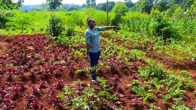 Youth Agripereneurship in Africa, Insights from NFP's community of practice